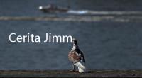 Cerita Jimmy Wales Mendirikan Wikipedia, Mengubah Wajah Internet tapi Tidak Kaya Raya