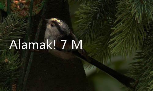 Alamak! 7 Mobil Nginap Setahun di Soetta, Tarif Parkirnya Bikin Dompet Meronta