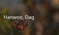 Hanwoo, Daging Sapi Korea yang Disebut Mengalahkan Rasa Wagyu Jepang