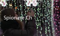 Spionase China Ancam Industri Chip Semikonduktor Belanda