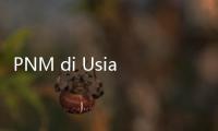 PNM di Usia ke