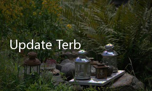 Update Terbaru Kasus Gibran dan Kaesang, Omongan Ketua KPK Tegas: Suka Atau Tidak!