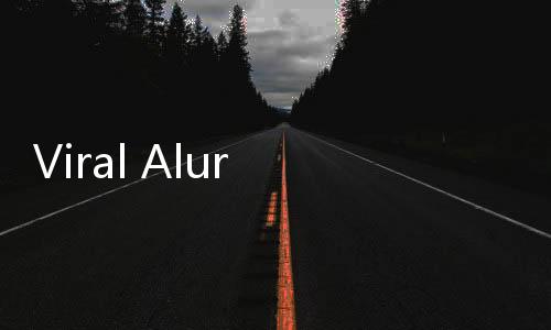 Viral Alur Barang Bawaan ke LN, Ini Daftar Barang yang Dilaporkan